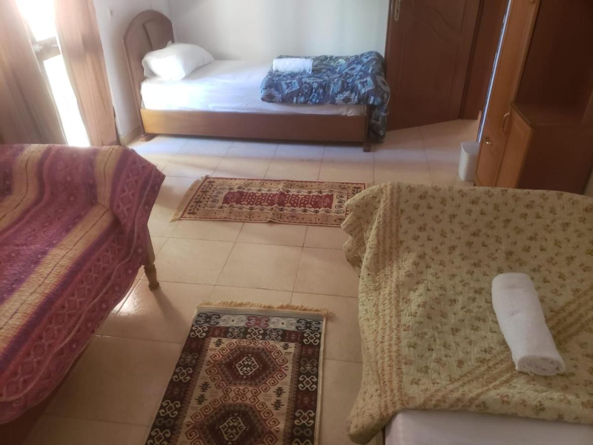 Hostel Split Rock 티라나 외부 사진