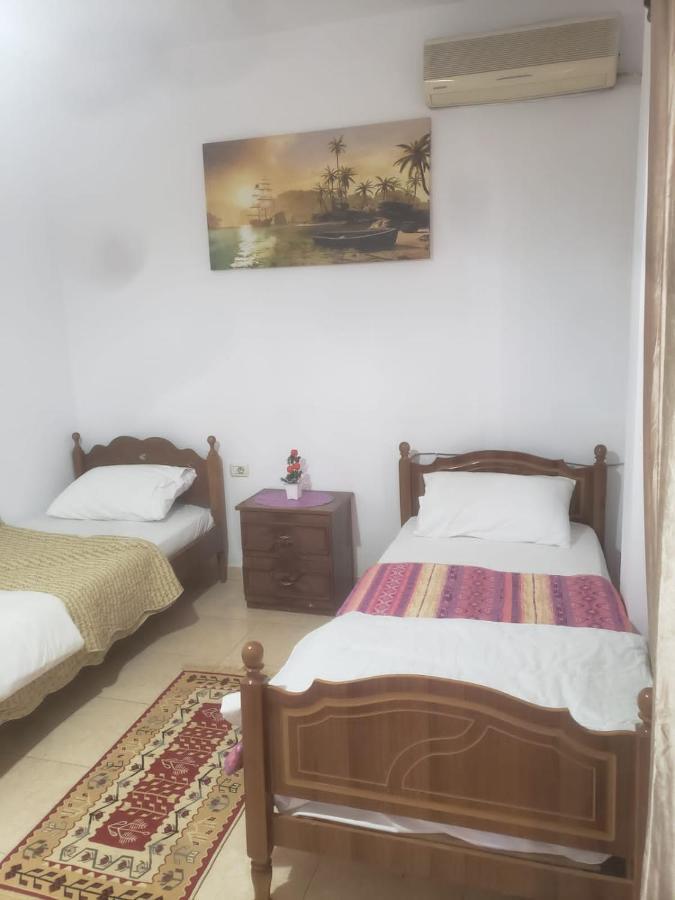 Hostel Split Rock 티라나 외부 사진