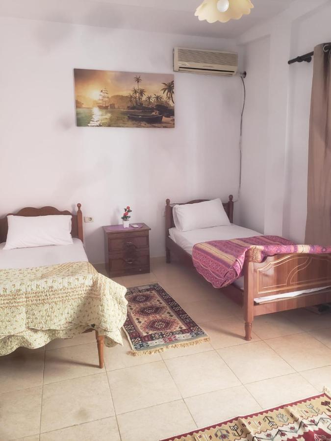 Hostel Split Rock 티라나 외부 사진