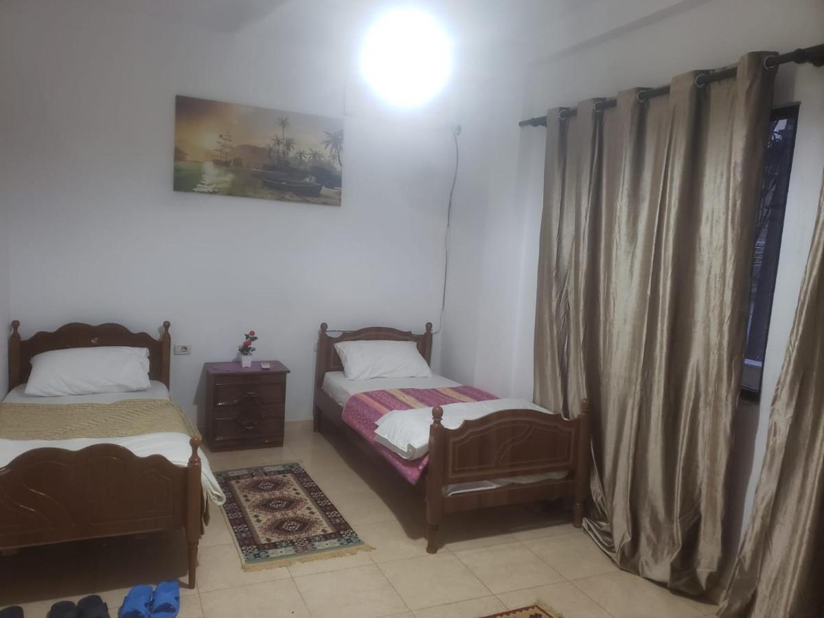 Hostel Split Rock 티라나 외부 사진