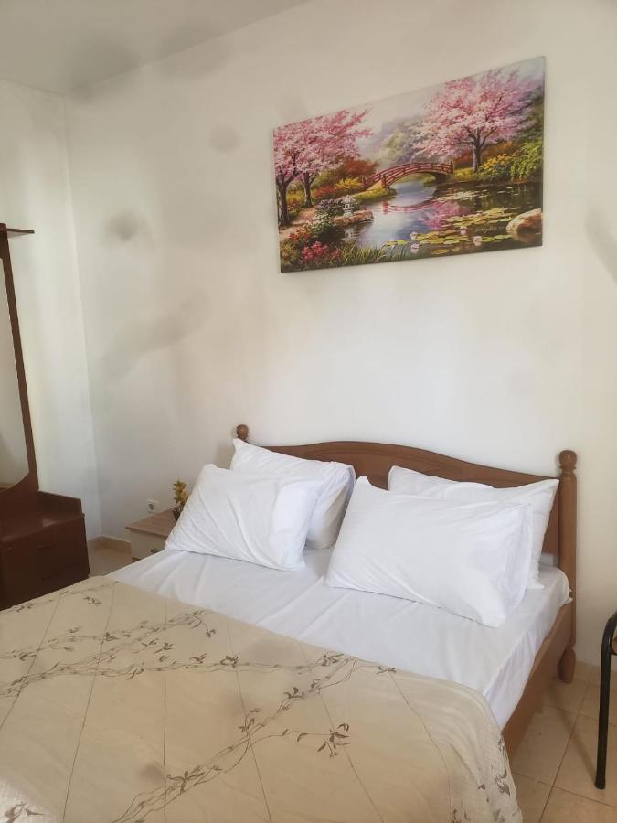 Hostel Split Rock 티라나 외부 사진